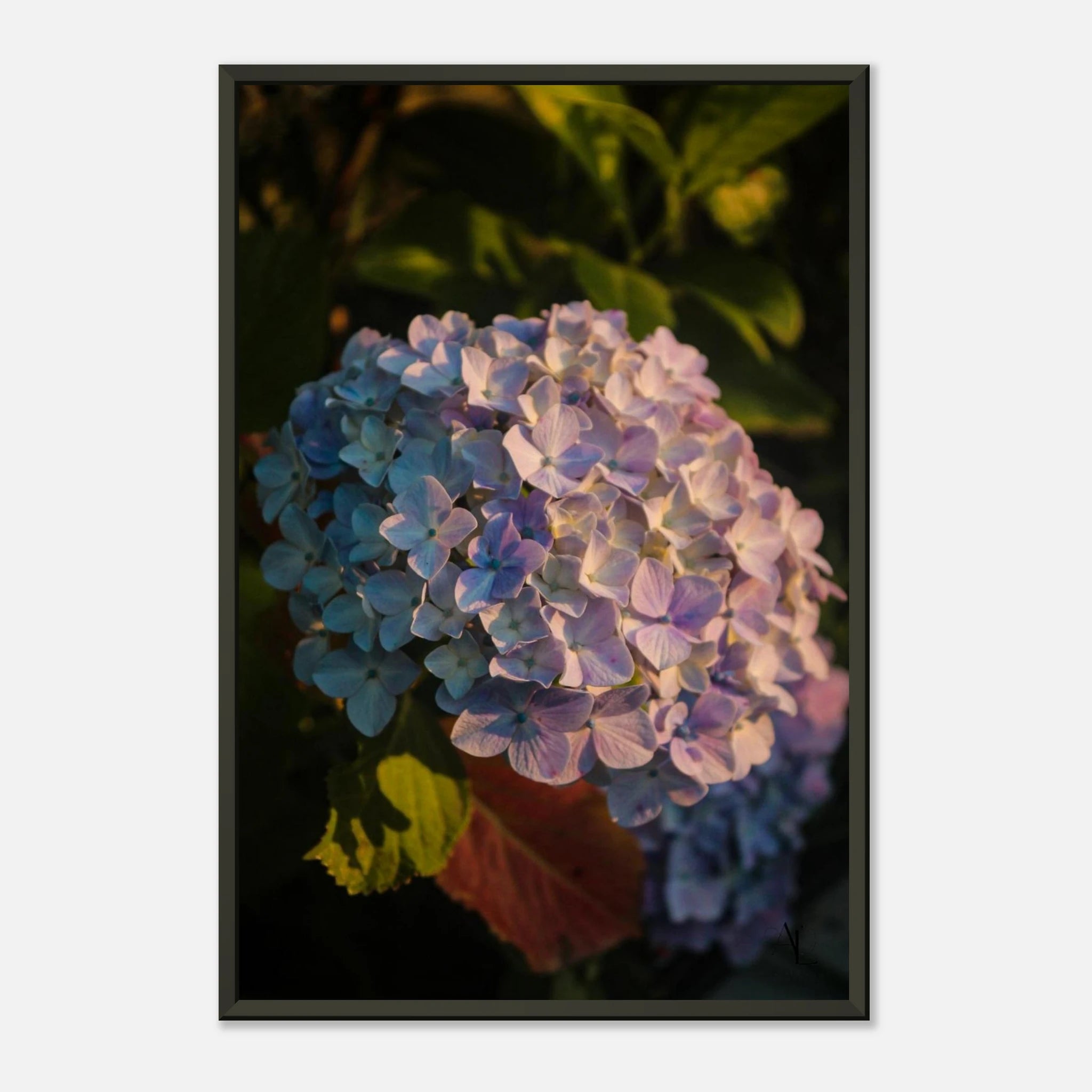 185e06b6-648f-4352-b417-5a8e25182fe2