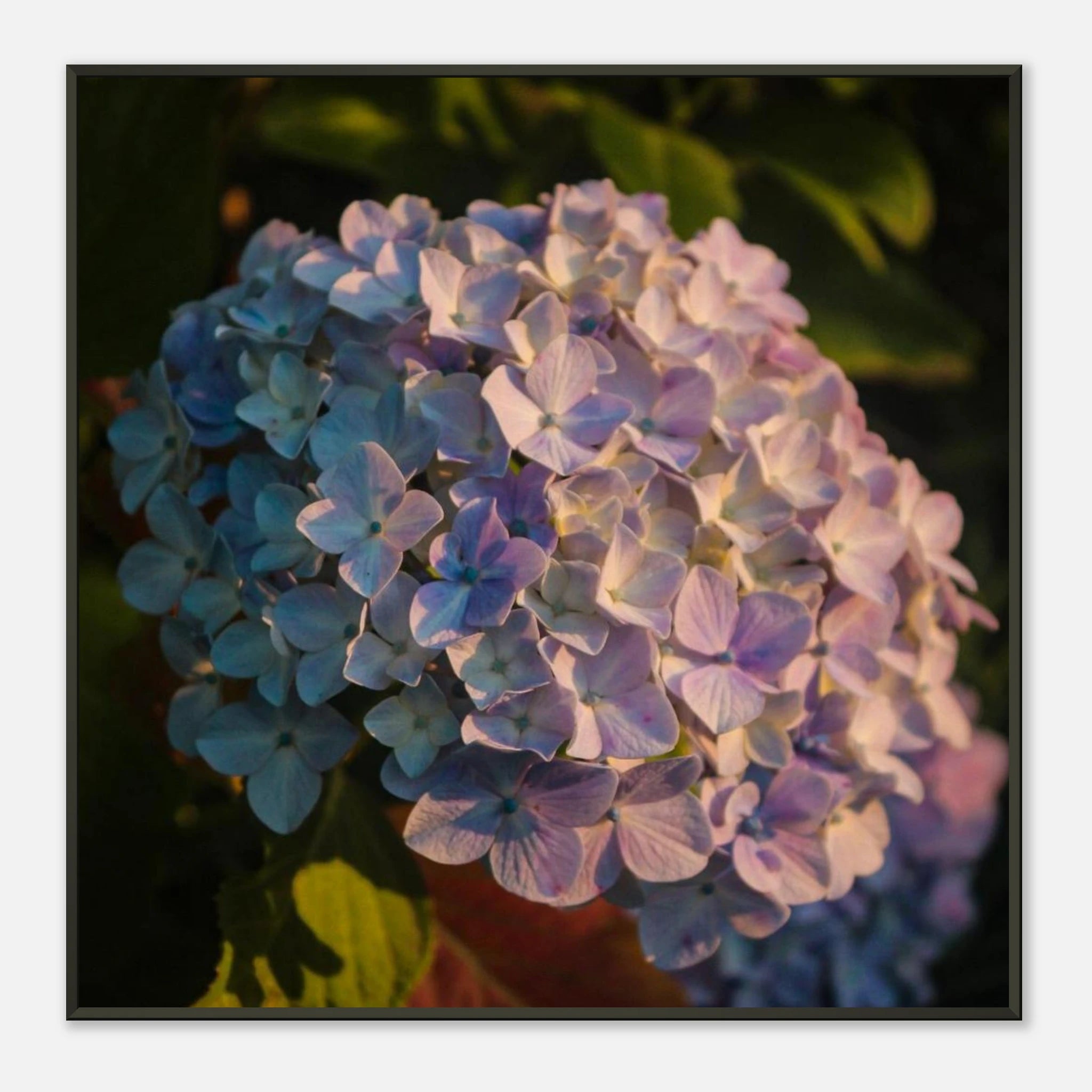 749a4af6-4654-4421-b1d6-6a2b9770b8a9