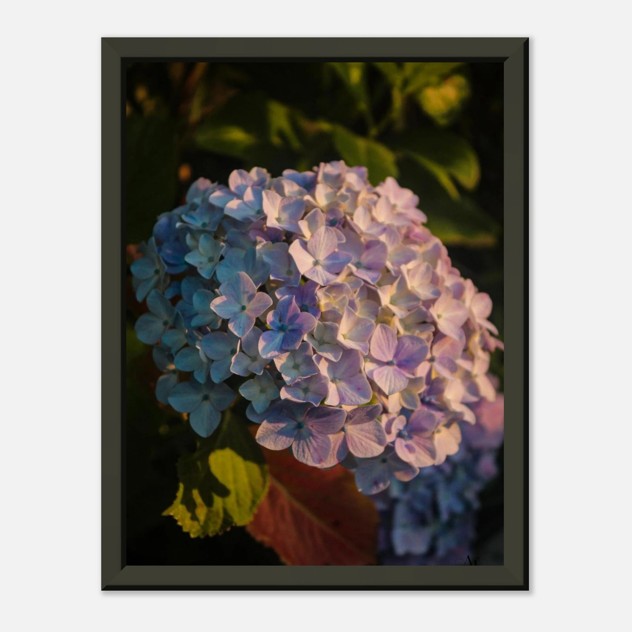 913127ba-a8b2-4312-921d-d3ba0e98f99b