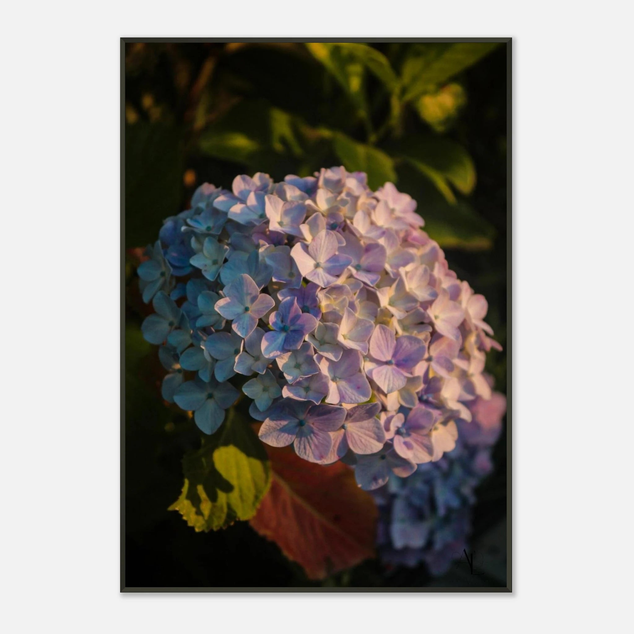 d9777eb6-bd22-4dd8-a456-4ecafdd85dc7