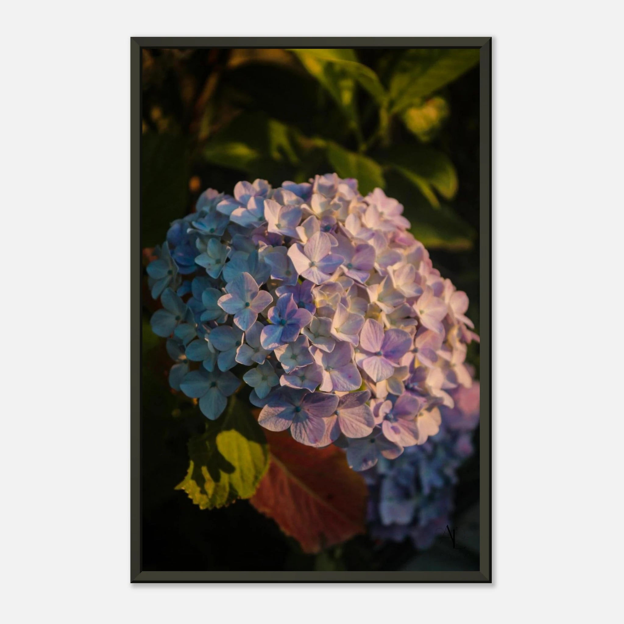 f5a7fd9e-2885-41d9-b6ba-f93b53cecf2c