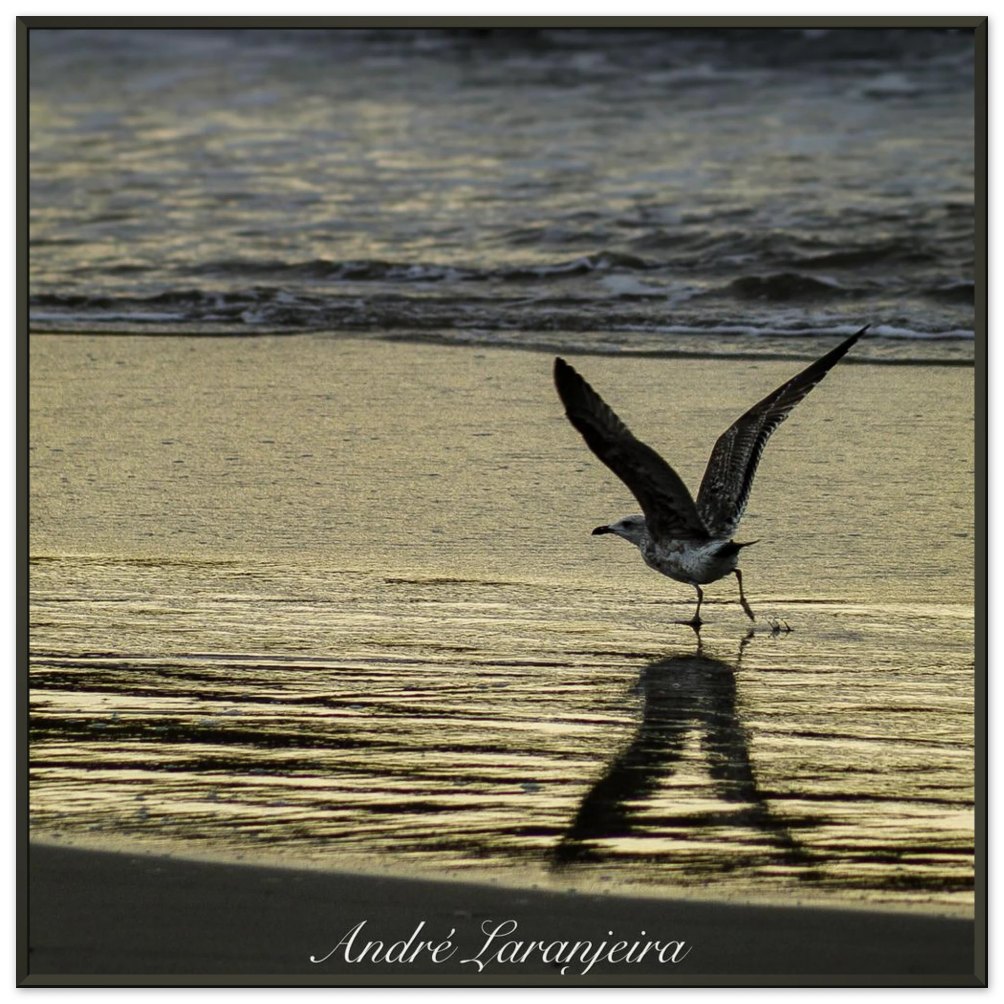 0b221d9a-f131-4fbd-9f3a-fcd5296386d5