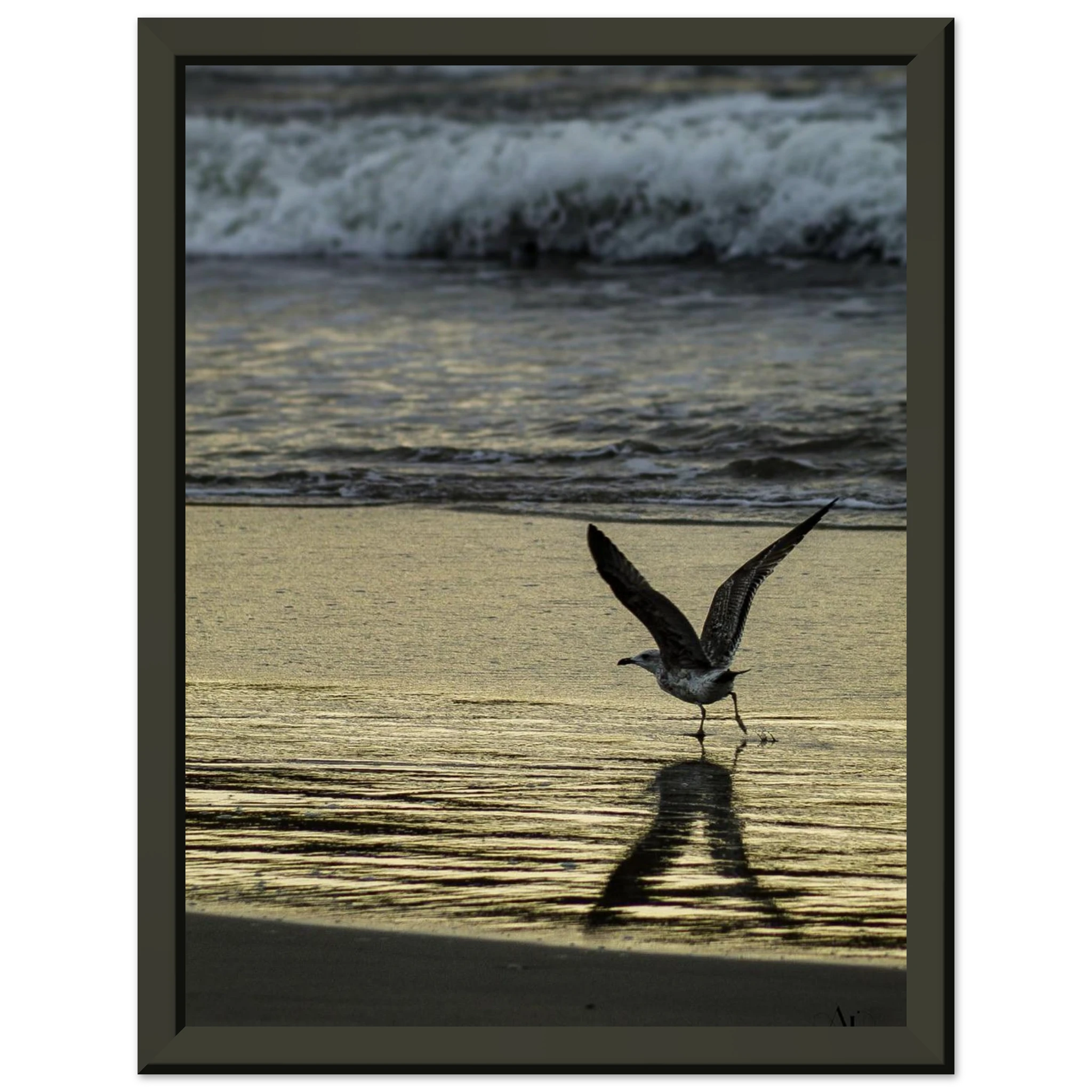 0fd43a38-72d6-49be-bfb2-04f3062b0055