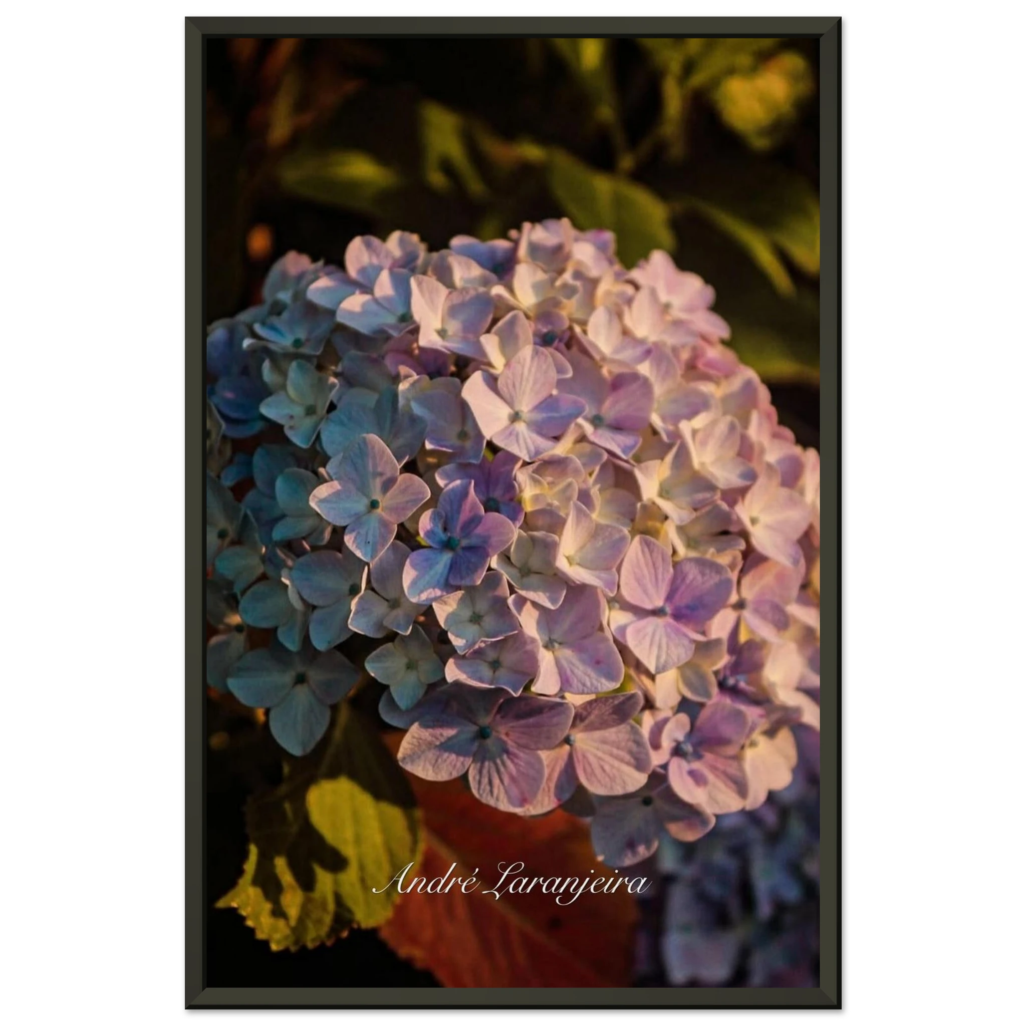 1acc2031-fae2-425c-ae39-550af22da846