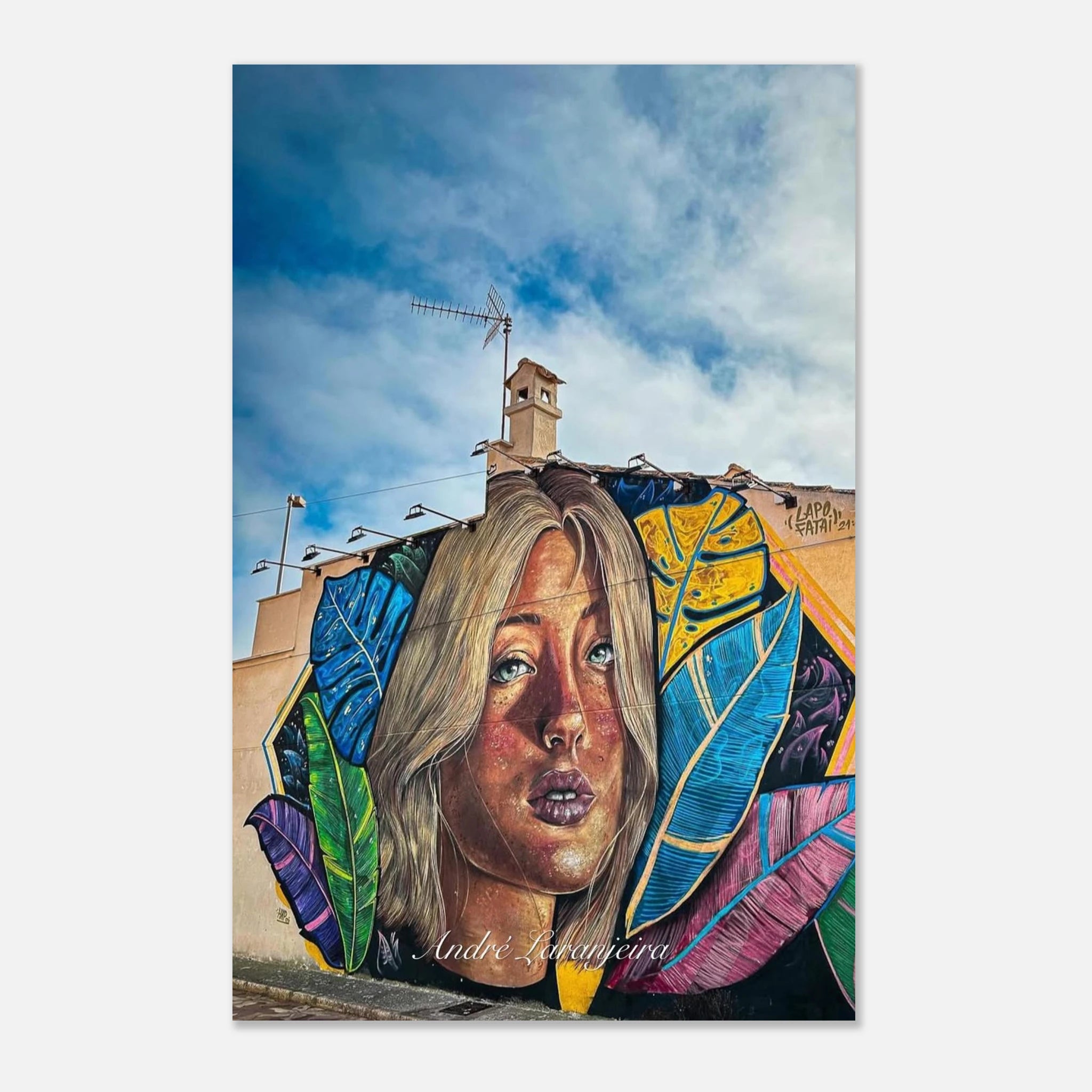 205f2939-4eed-427e-934e-3dcb6ffa8fb0