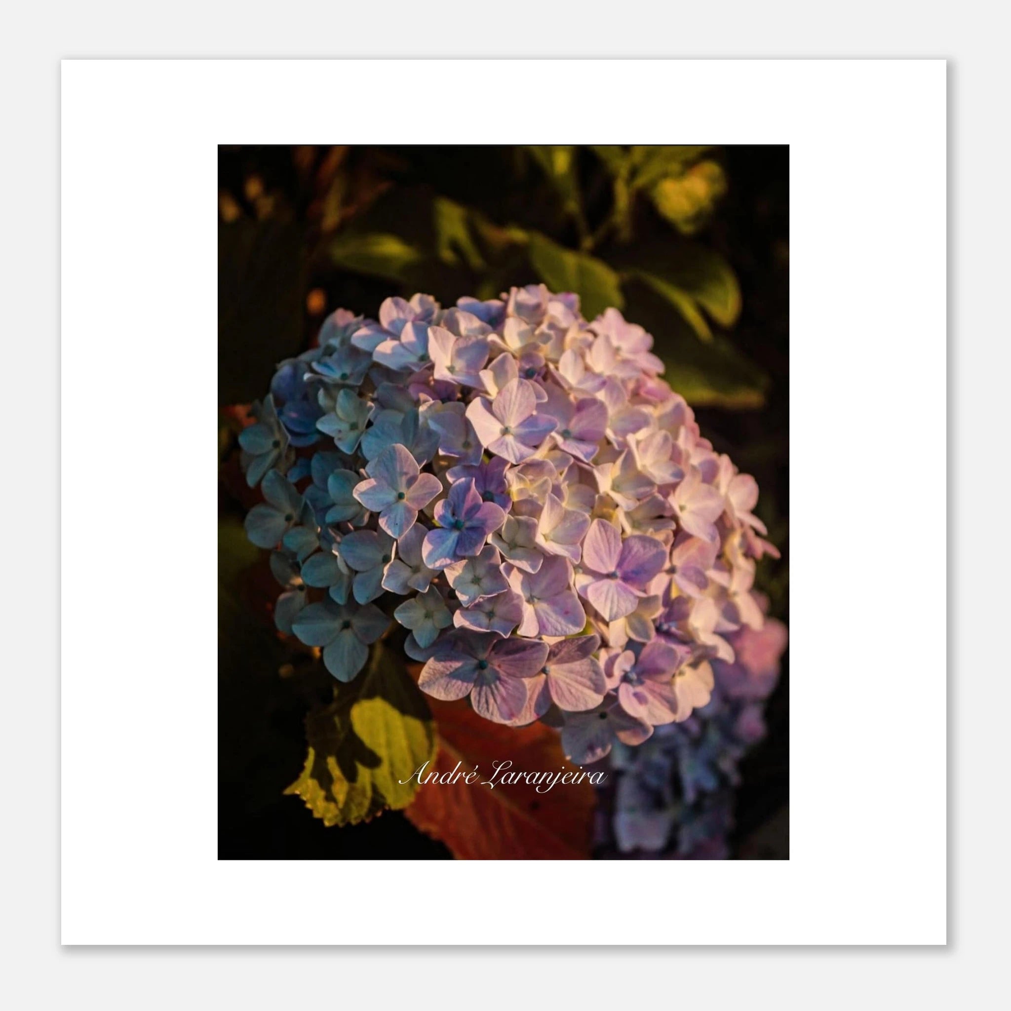 28deeb4a-5360-488a-81e1-954cb3195cbc