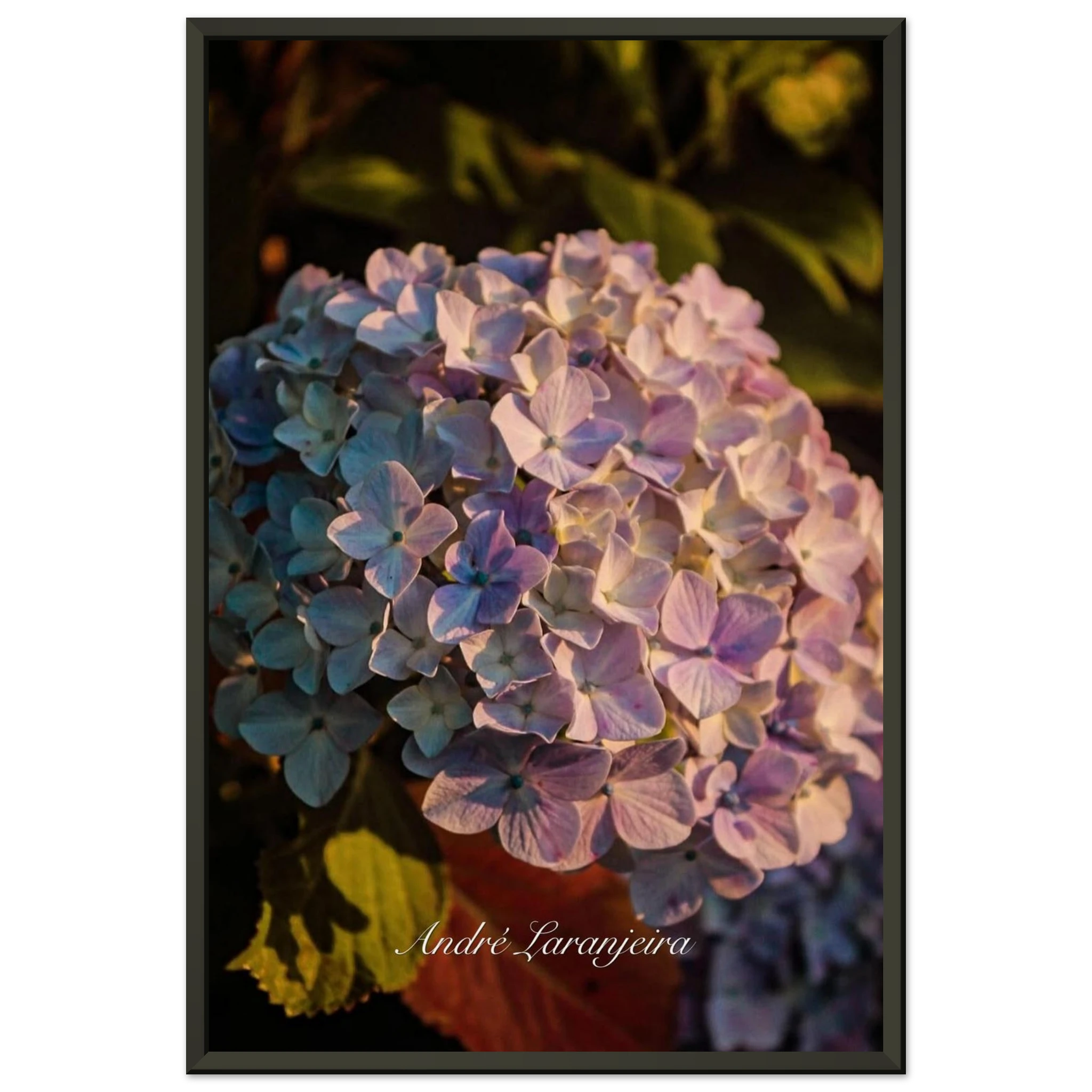 3954495e-dbe0-4111-83db-d4e3653787de