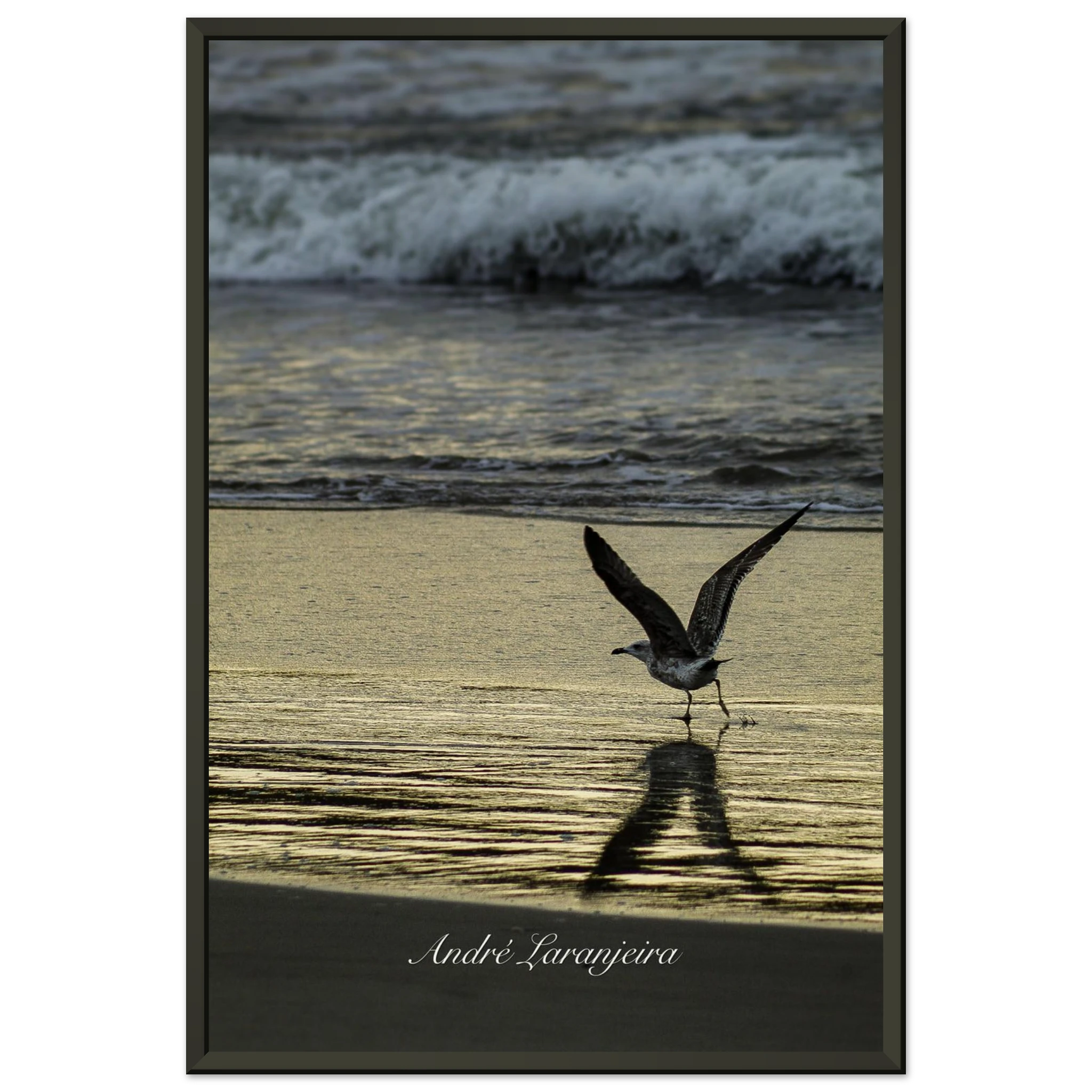 735f113a-4ffd-48d9-b3f4-a8804a357590