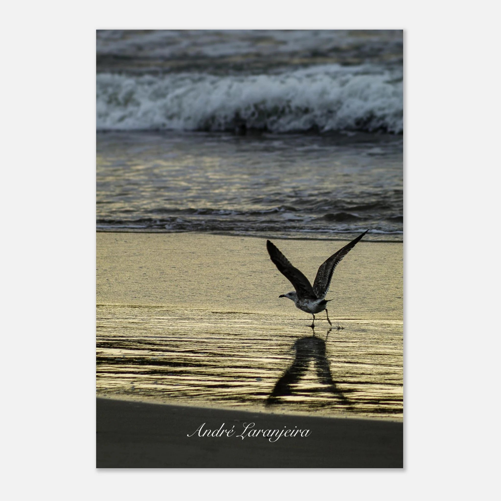 7a0c5406-f0e8-4920-a019-37d2c7e02f55