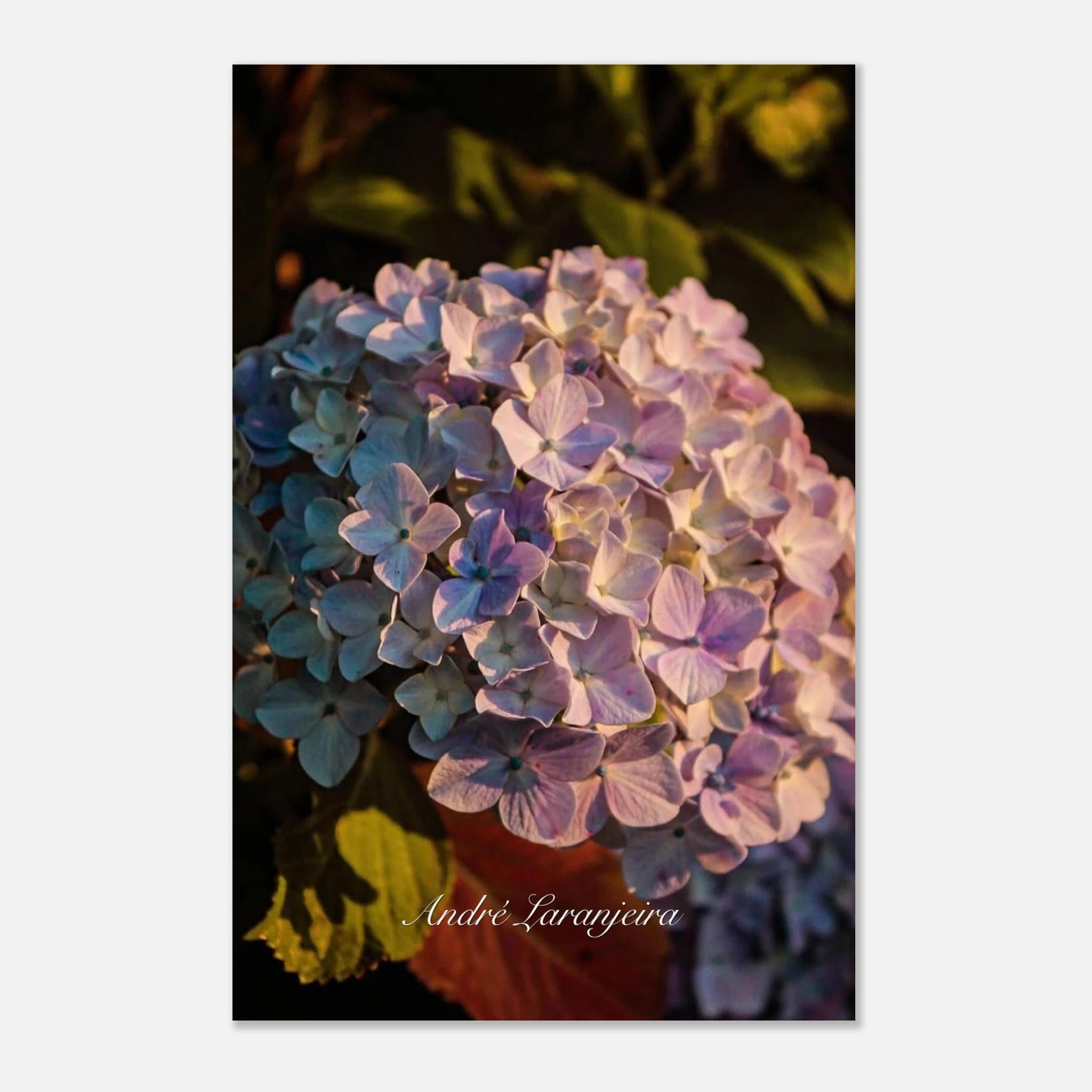 8225f4bb-7032-4823-97b4-9216fc844aa1