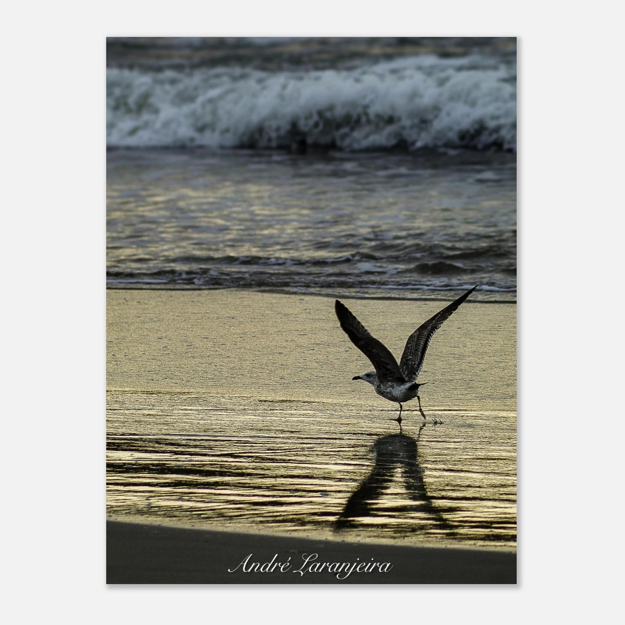 850b097a-ad2d-47a5-bcf9-249bb42aea7d