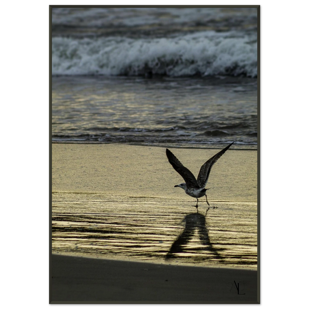 8a1bd52d-7336-435f-be7f-d480fdc7f149