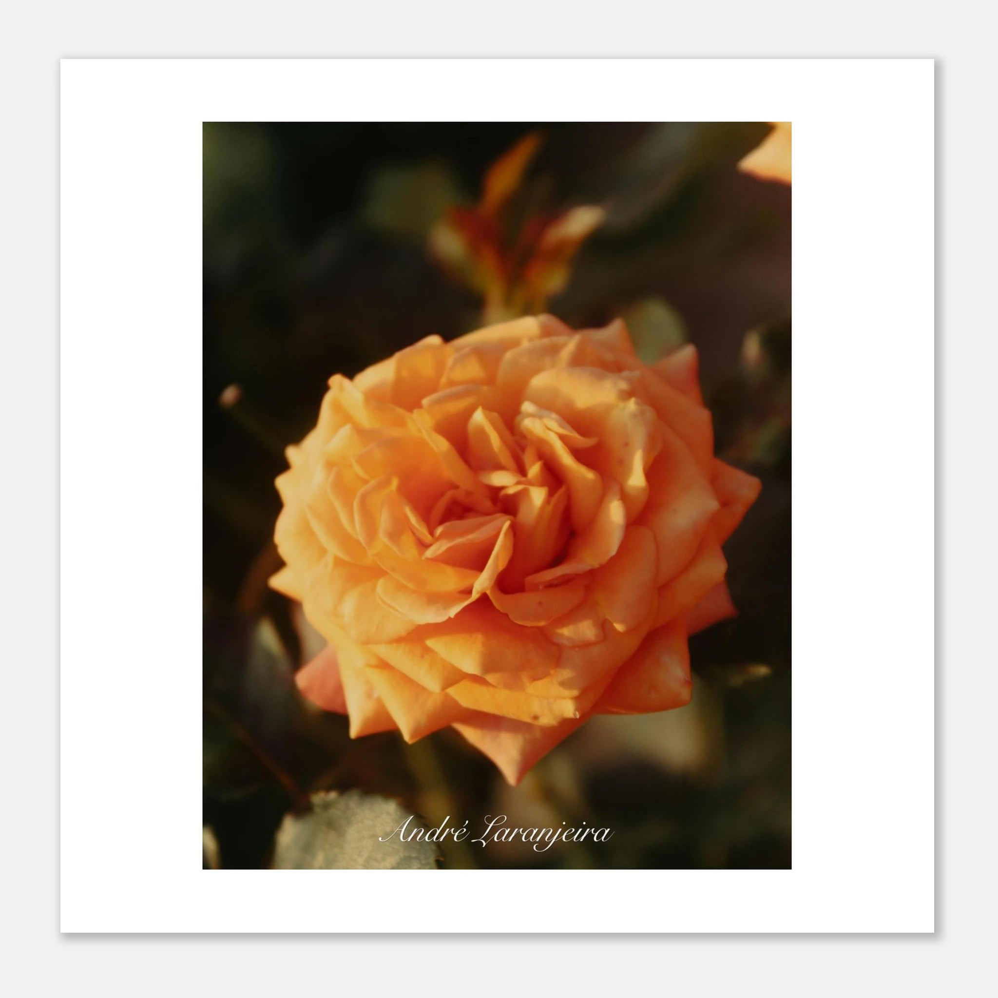 9571c81b-ee01-4951-b96a-713ba770366d