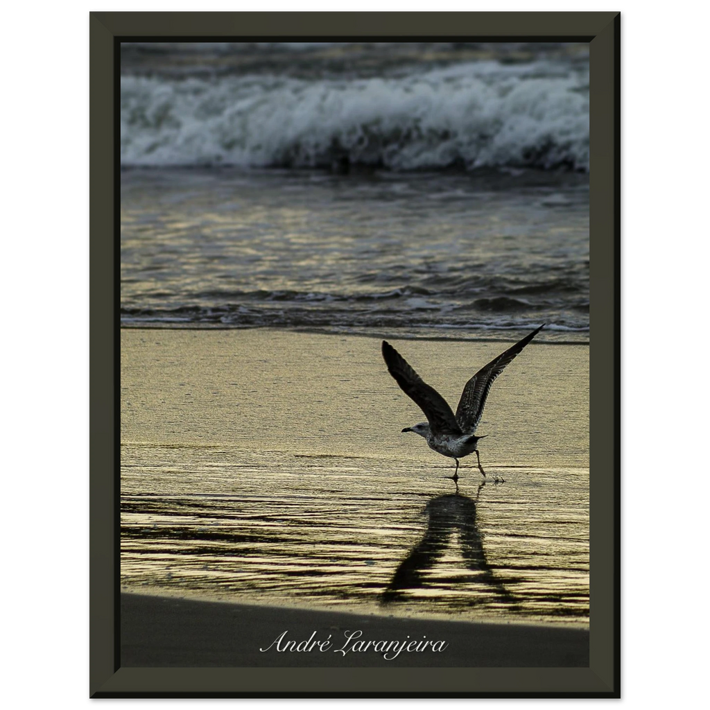 9c81092c-b6e7-4da3-a45d-75d2b713768d