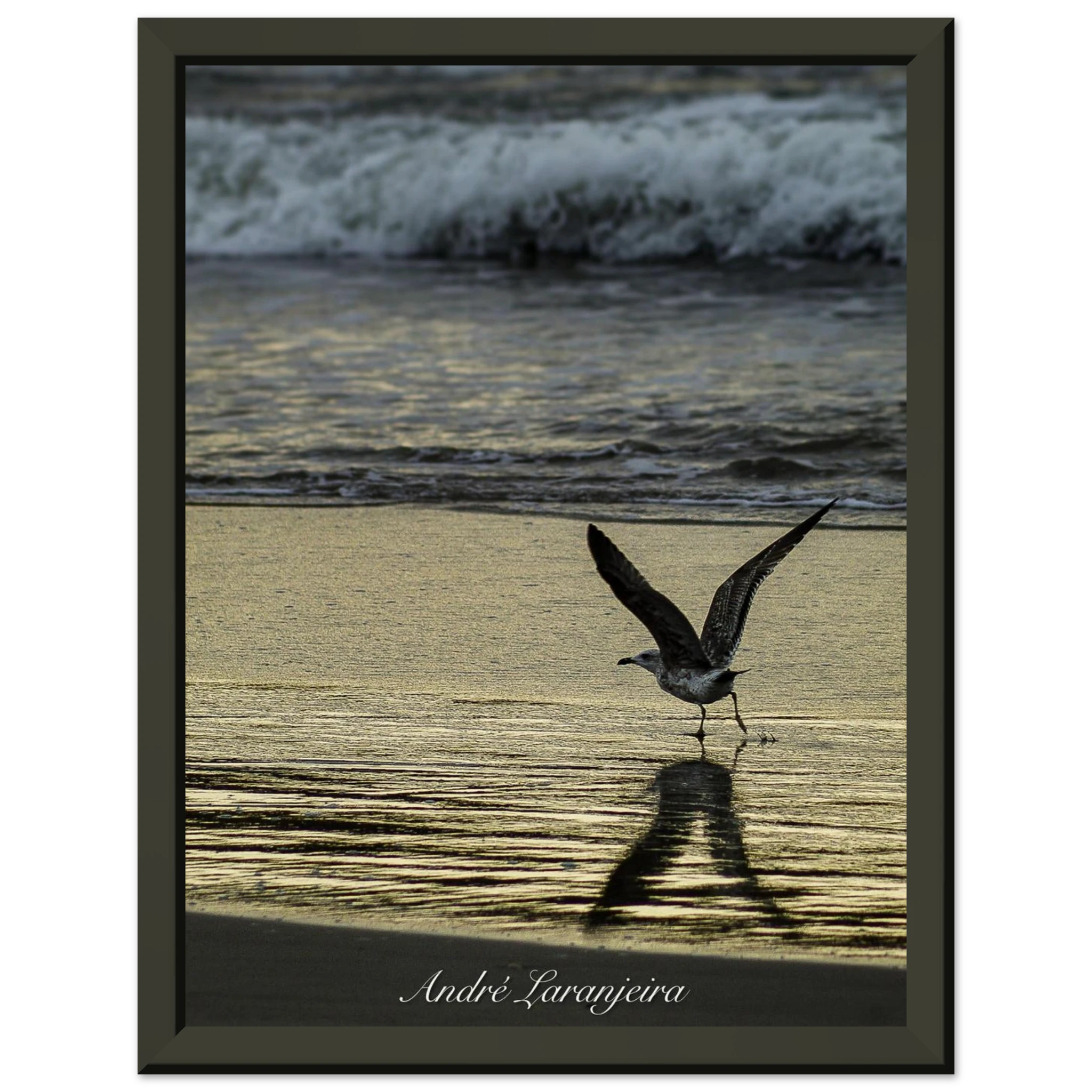 9c81092c-b6e7-4da3-a45d-75d2b713768d