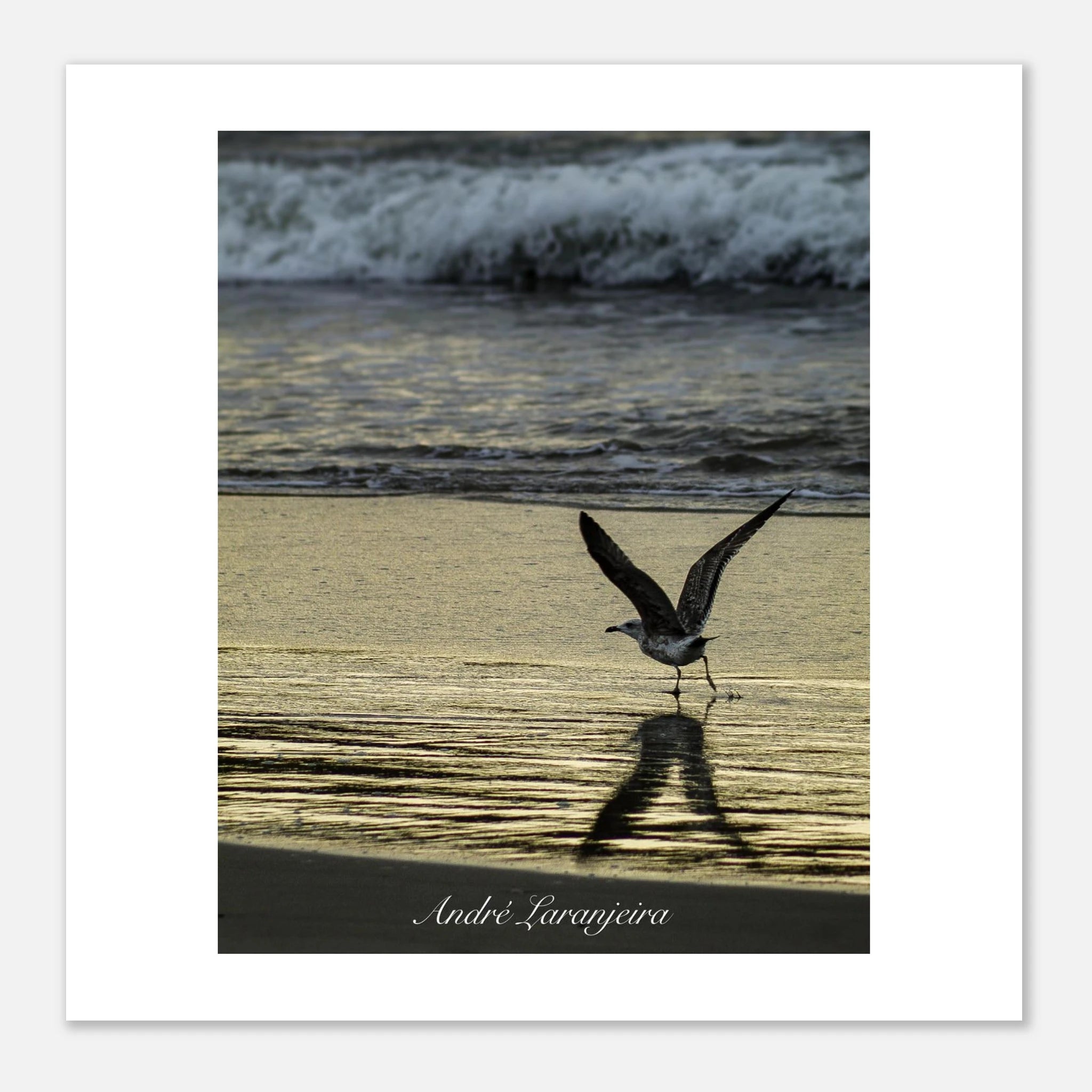 ac777551-966a-44ad-bc6a-2f42e1698e9f