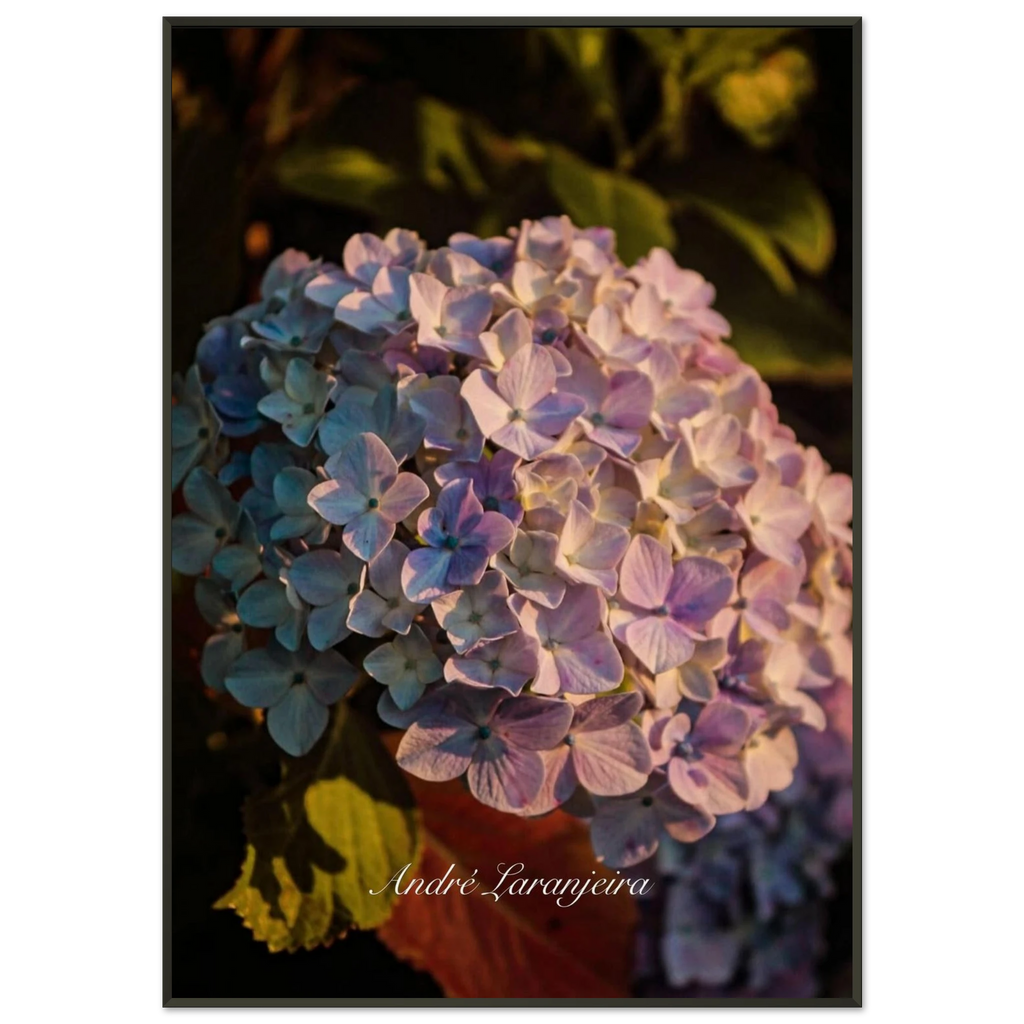 b3957fed-9c40-424e-a38f-cf597b3cc938