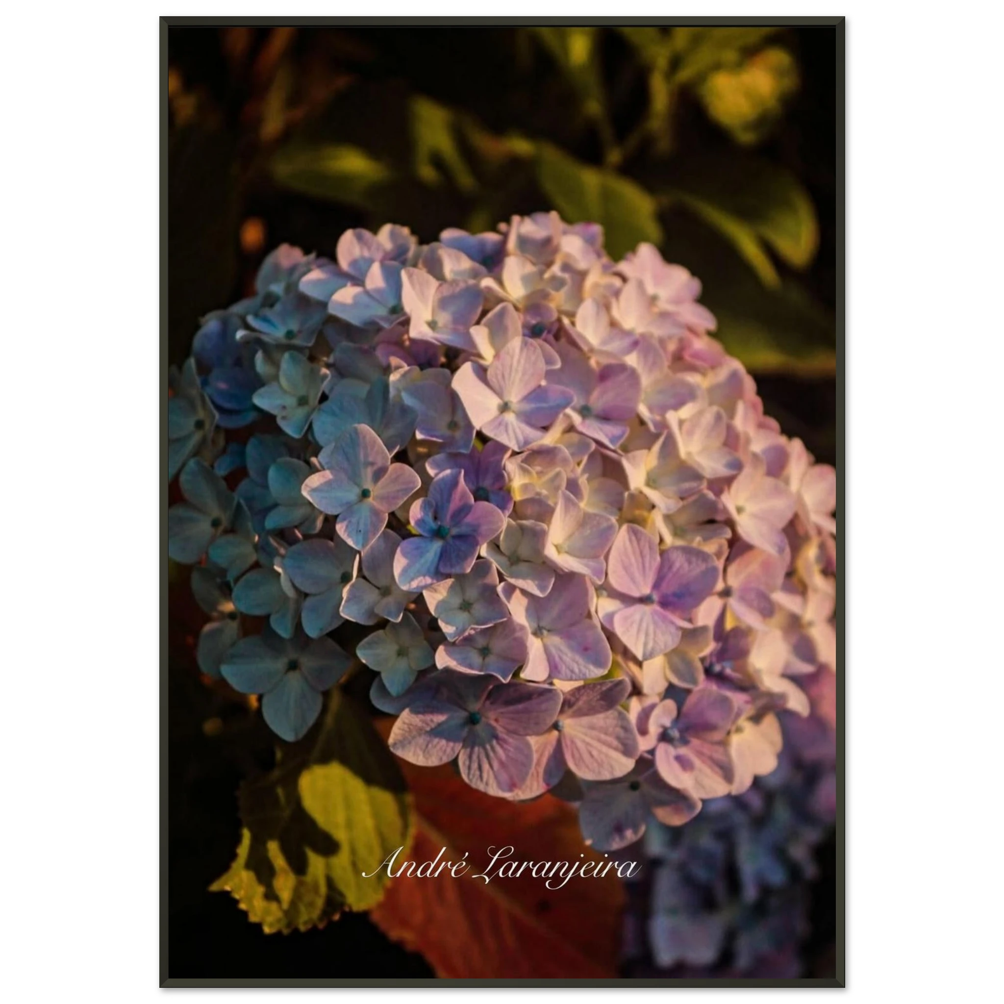 b3957fed-9c40-424e-a38f-cf597b3cc938