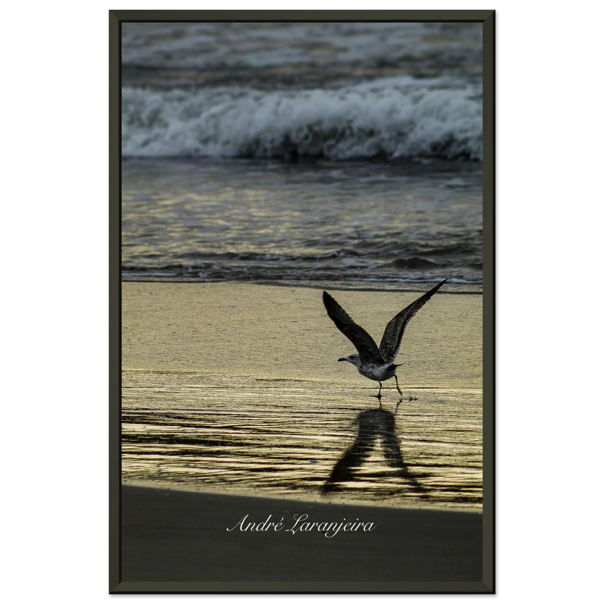 cb4617b6-55a3-40c3-ba5f-971a3b36d6b7