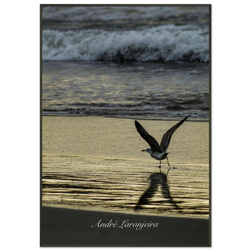 cf669728-03f9-497e-a12b-414e9b2a5ad9