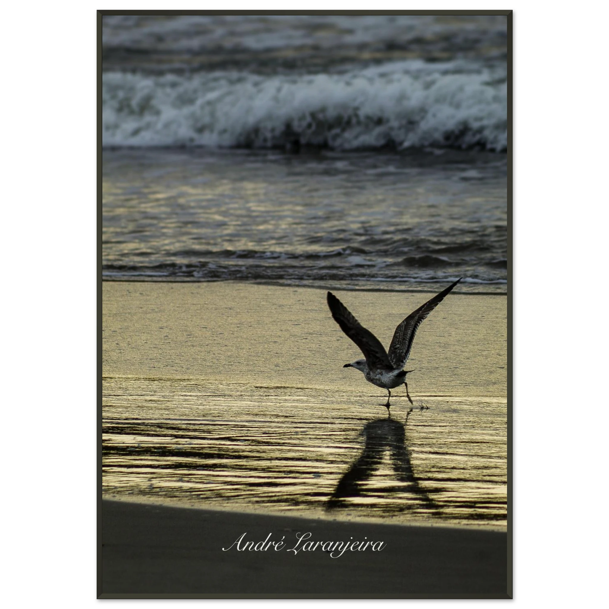 cf669728-03f9-497e-a12b-414e9b2a5ad9