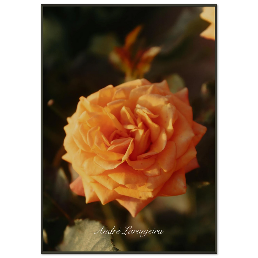 d54208fa-7988-4959-a190-0977c3d17dc7