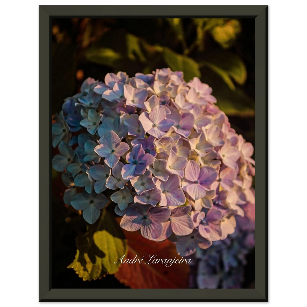 d894c078-4c09-4431-ac08-856fd42c591d