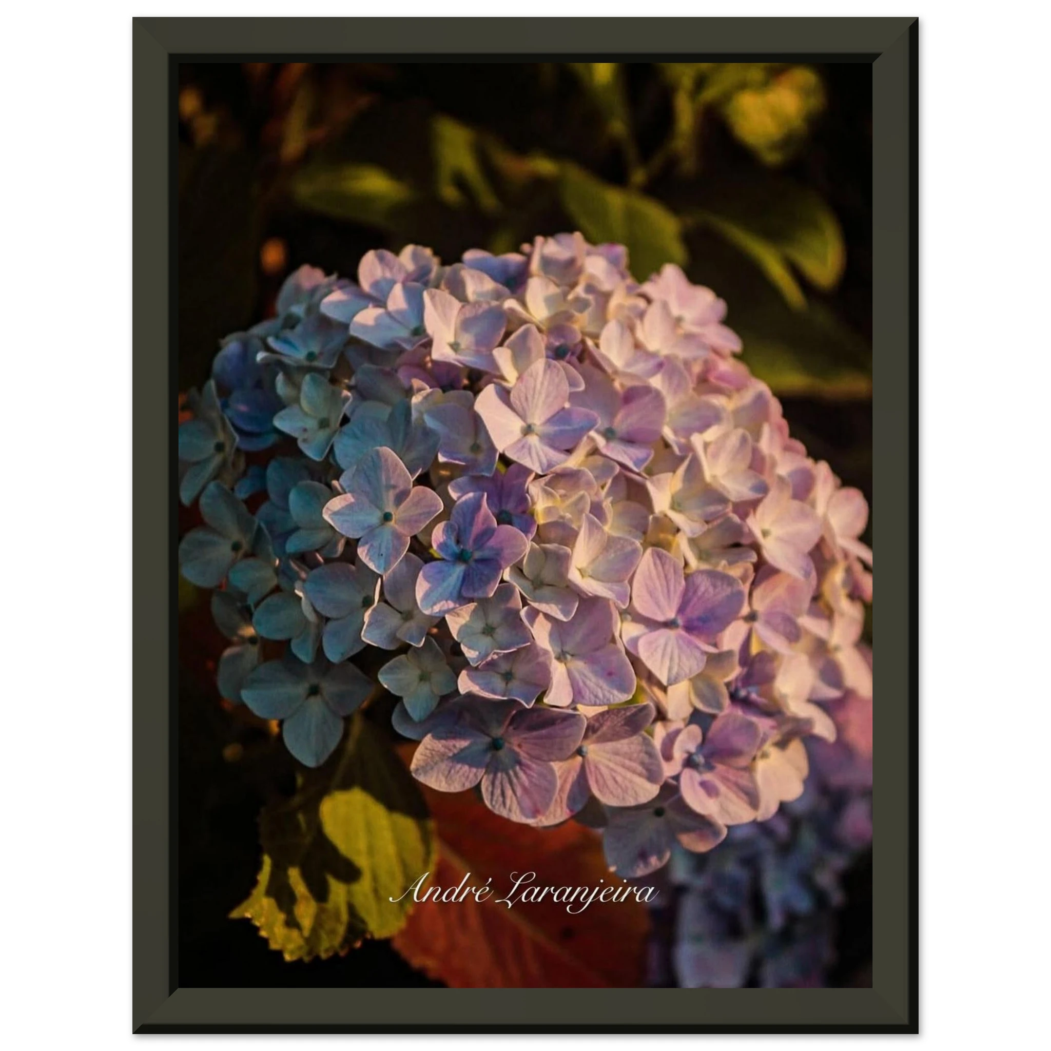 d894c078-4c09-4431-ac08-856fd42c591d