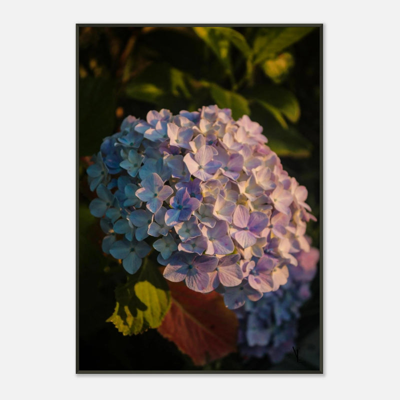d9777eb6-bd22-4dd8-a456-4ecafdd85dc7