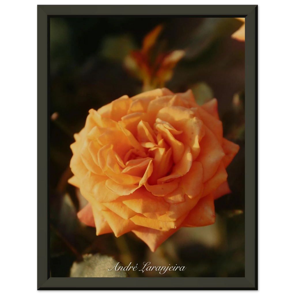 dda13b92-886c-4e6e-9f52-ddf1b61de675