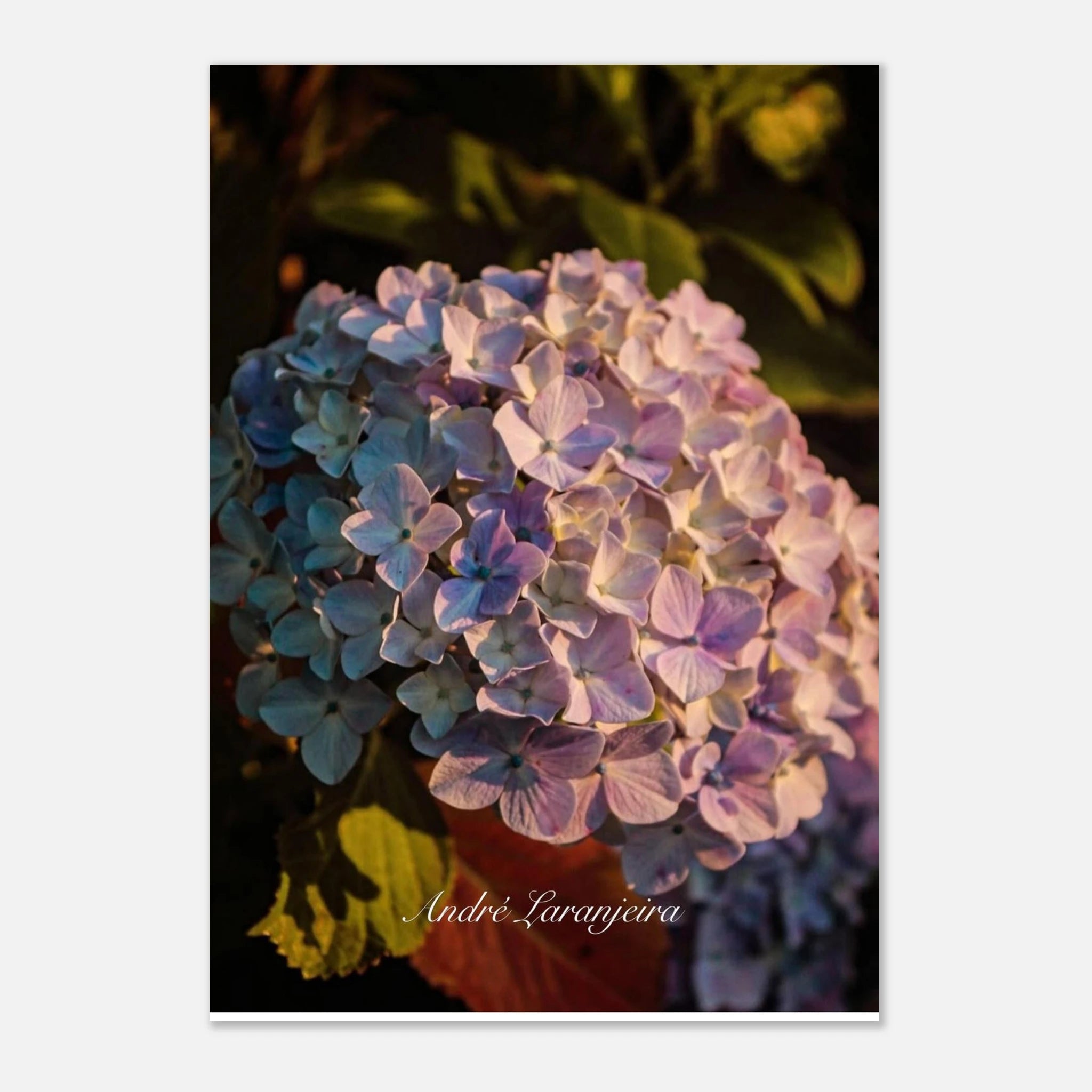 e05f13aa-db49-4b67-a5a8-b242256f89f9