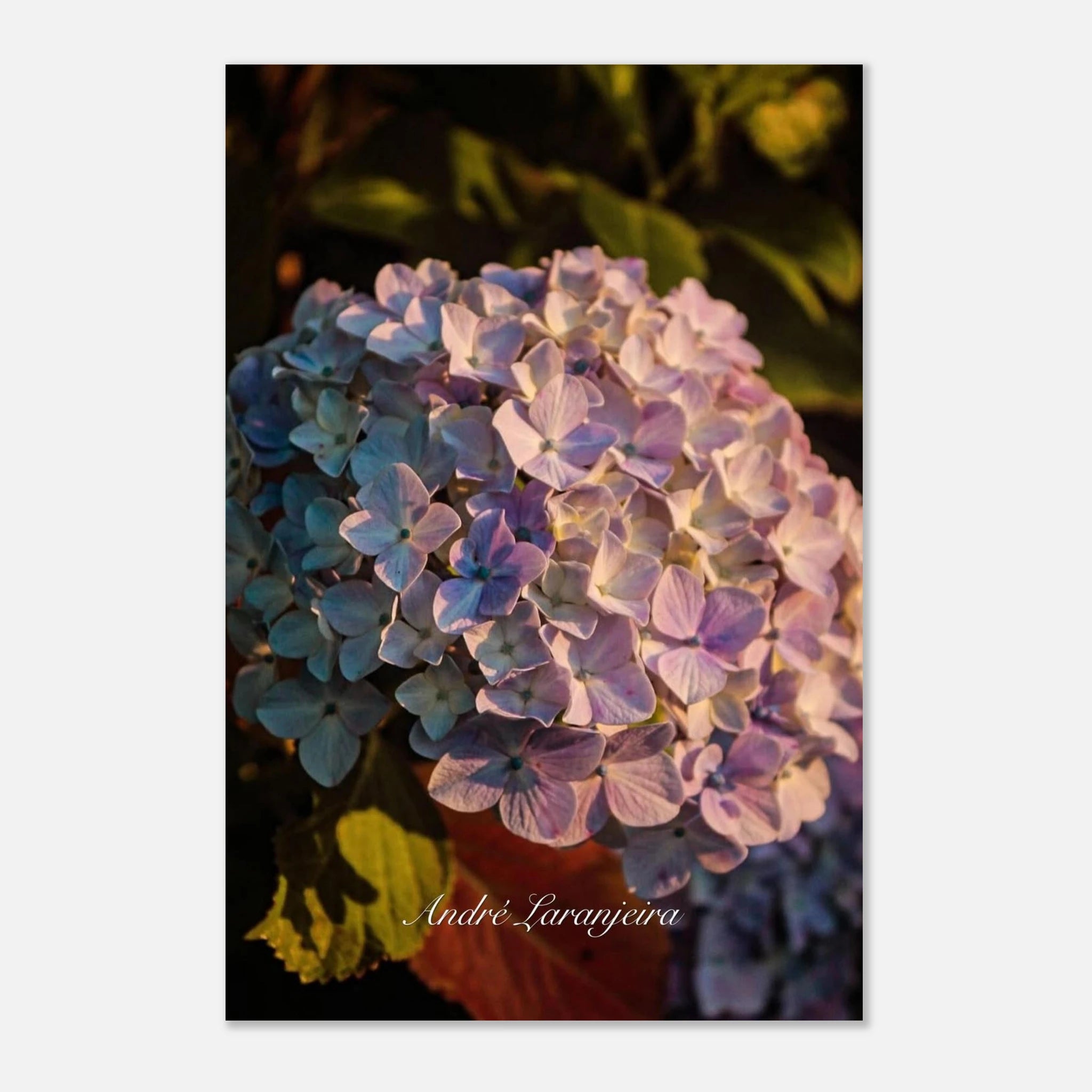 e6b9b4ad-4ad5-4e3d-a40f-9ebbb37e67a3