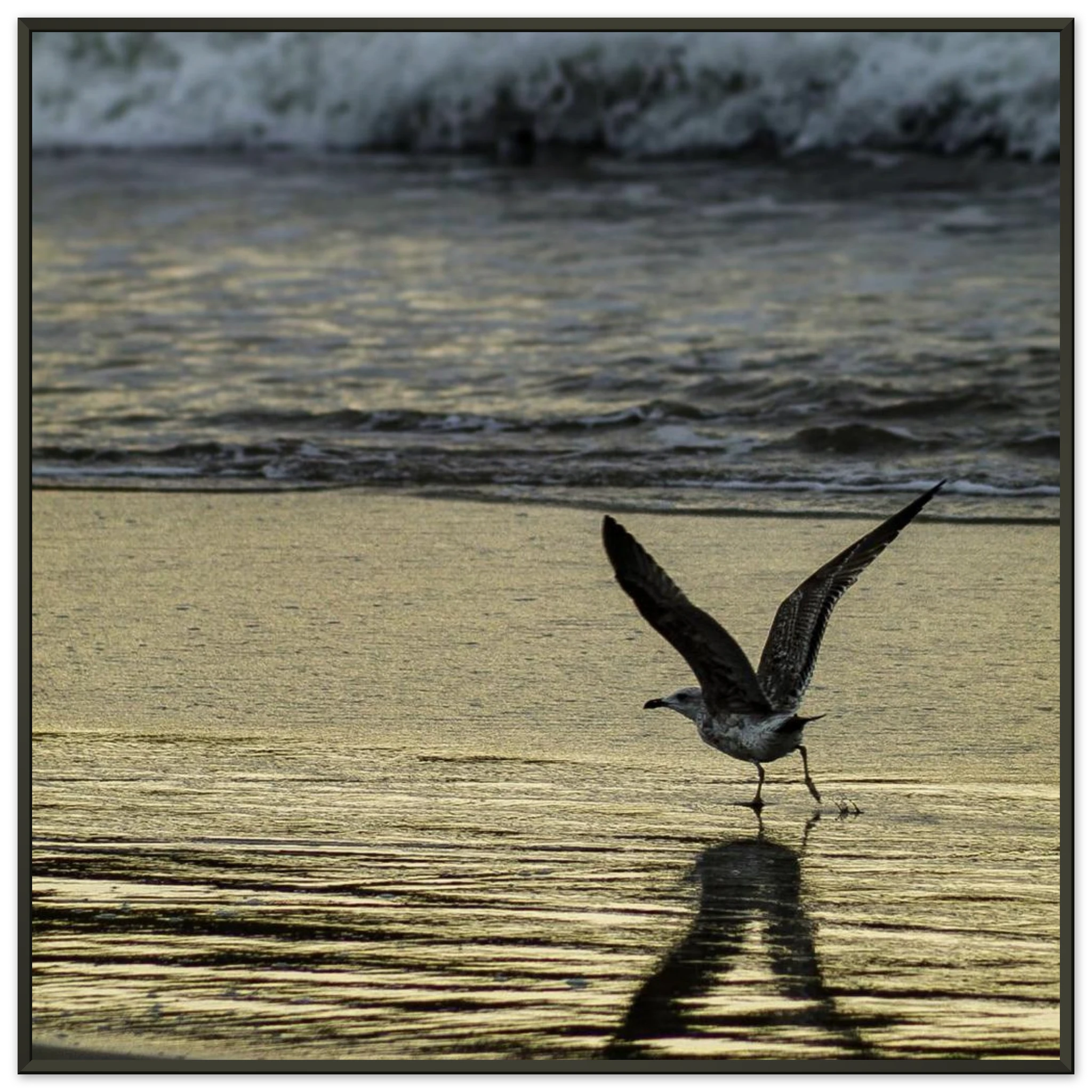 f6d26089-75ec-4459-916e-9b8e274ba4f8