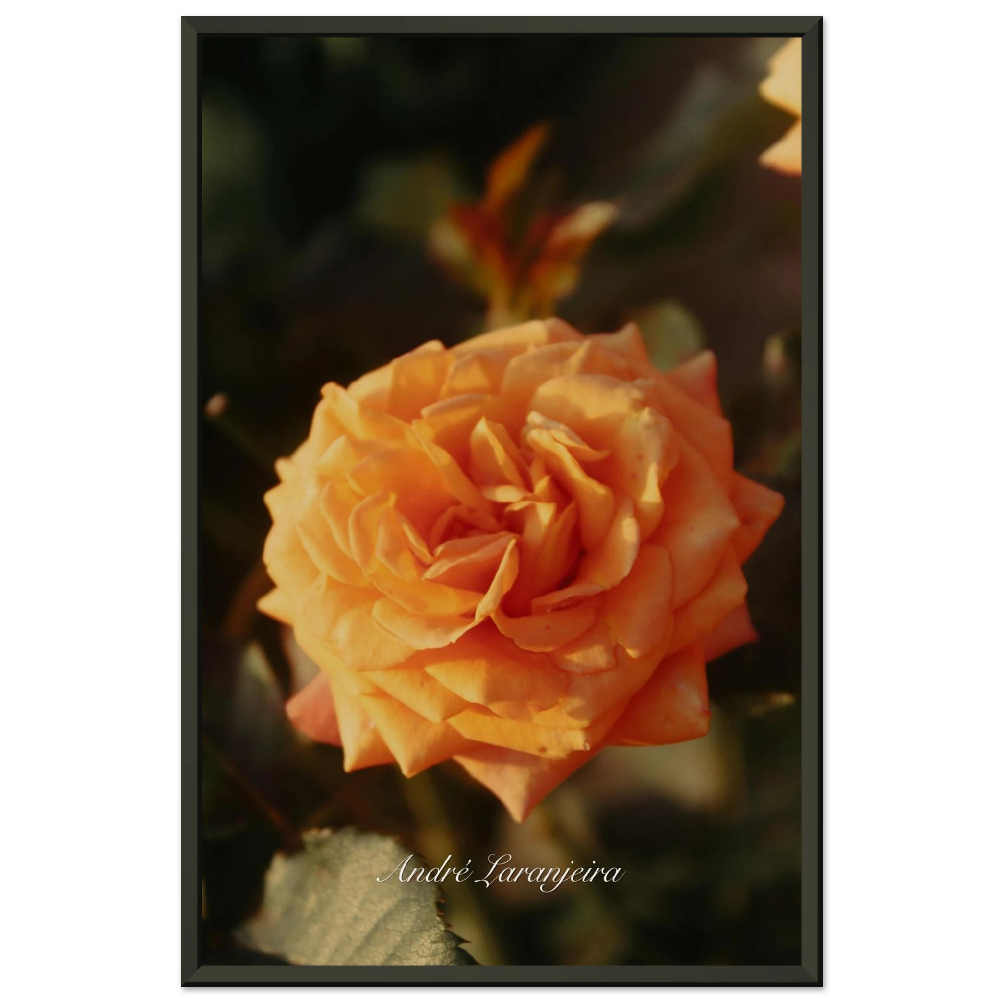 f6ec3ca3-4ae4-49ca-8dd6-4e6c447dfe70