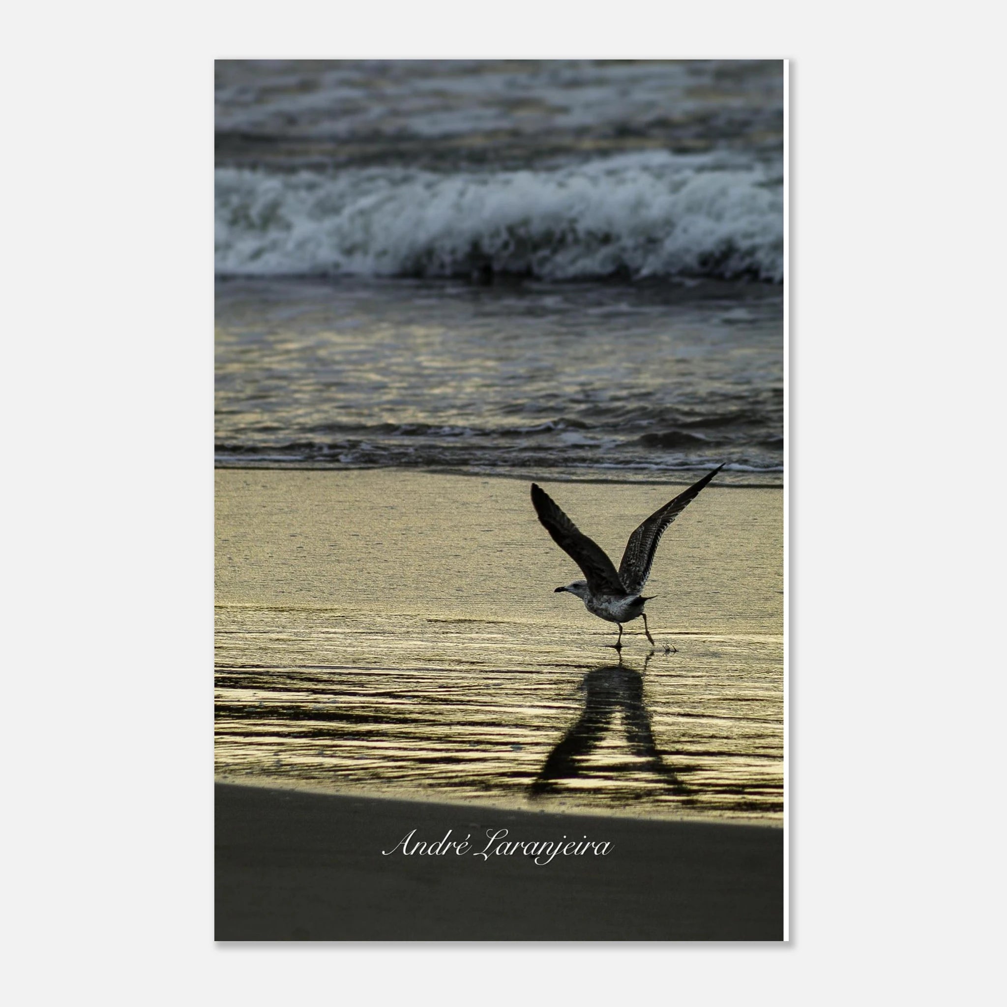 fa4fb43f-a347-432b-8e4b-8a6929bd7323